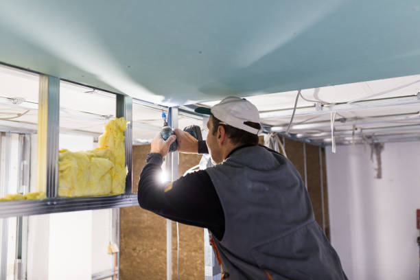 Best Insulation Removal  in Brookville, NY