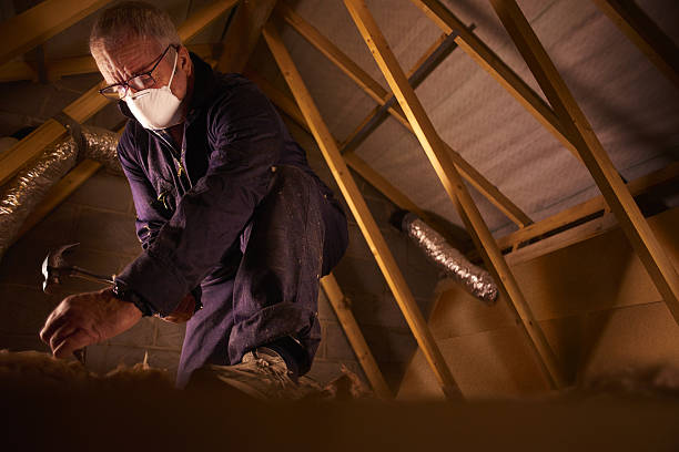 Best Home Insulation Services  in Brookville, NY